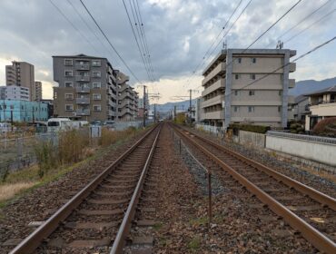 こだわりの柑橘かぞく