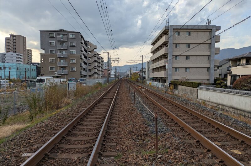 こだわりの柑橘かぞく